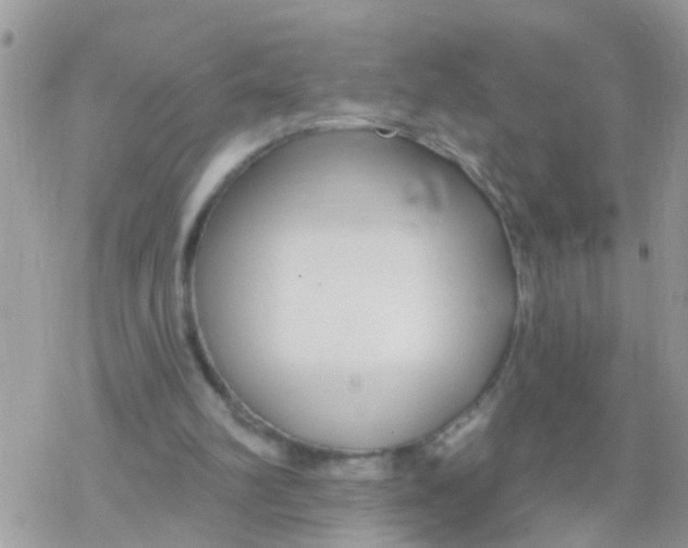 X0000078310102200611251543