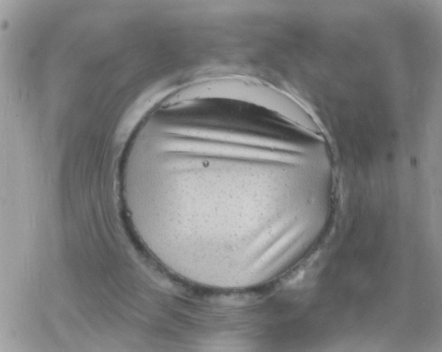 X0000078310103200611251543