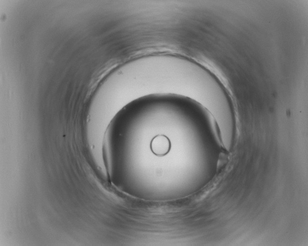 X0000078310105200611251543