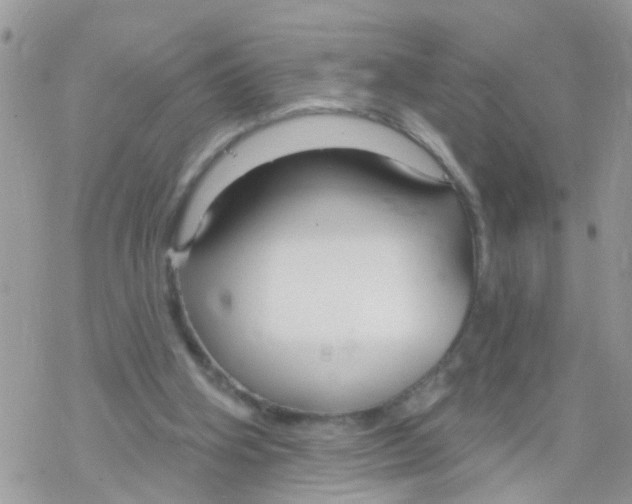 X0000078310106200611251543