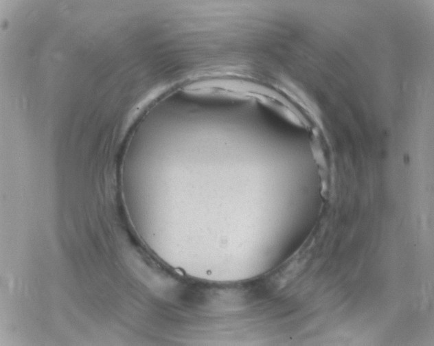 X0000078310107200611251543