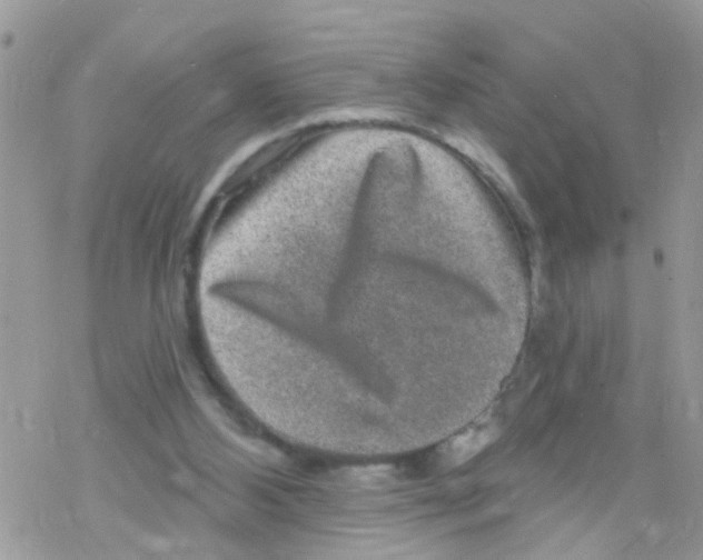 X0000078310108200611251543