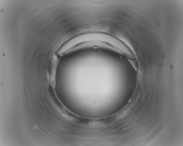 X0000078310109200611251543