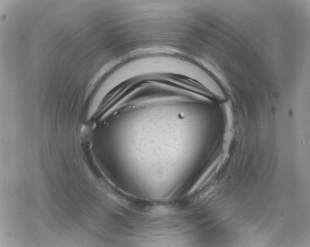 X0000078310111200611251543