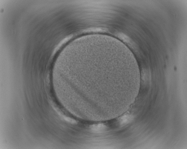 X0000078310112200611251543