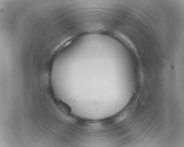 X0000078310113200611251543