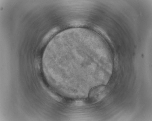 X0000078310114200611251543