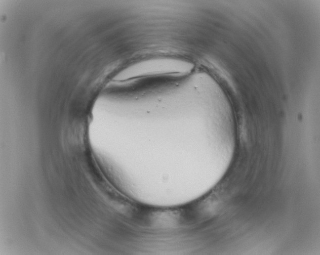 X0000078310115200611251543