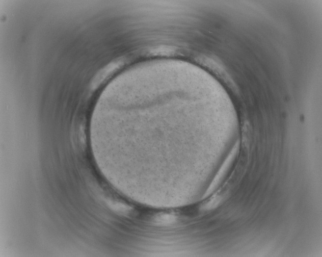 X0000078310116200611251543