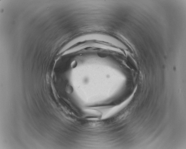 X0000078310117200611251543