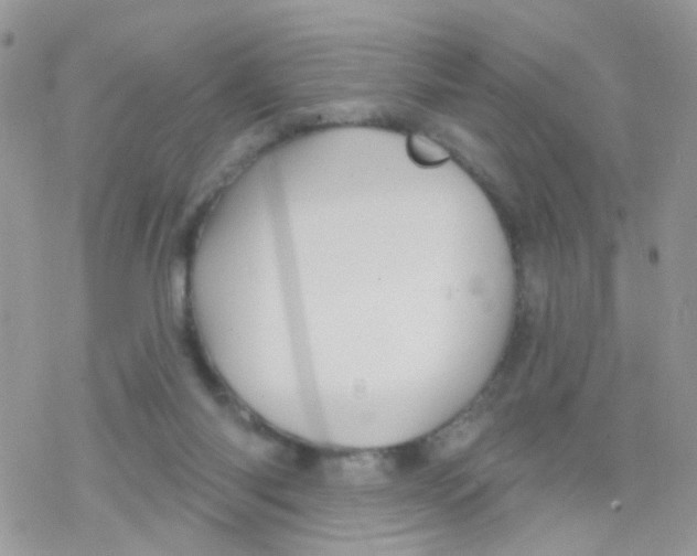 X0000078310118200611251543