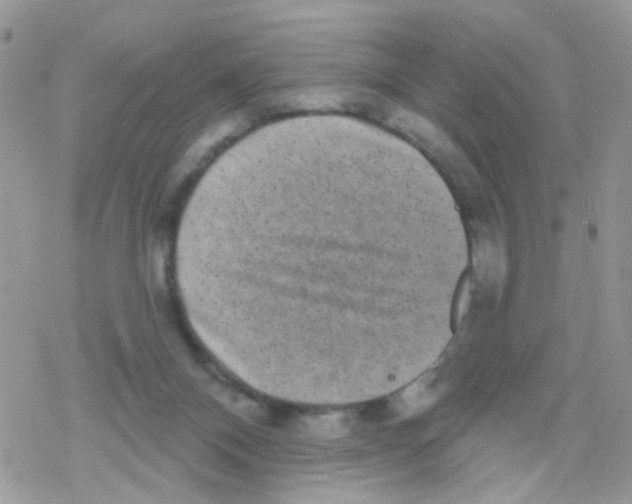 X0000078310120200611251543