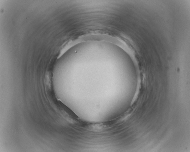 X0000078310121200611251543