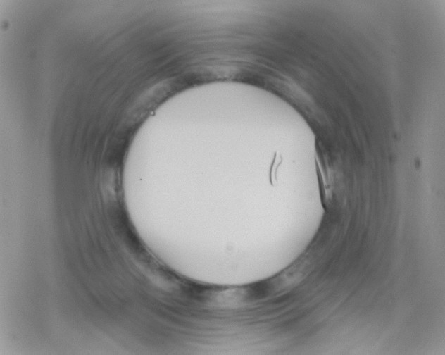 X0000078310122200611251543