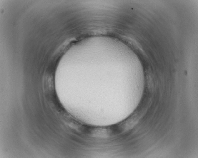 X0000078310123200611251543