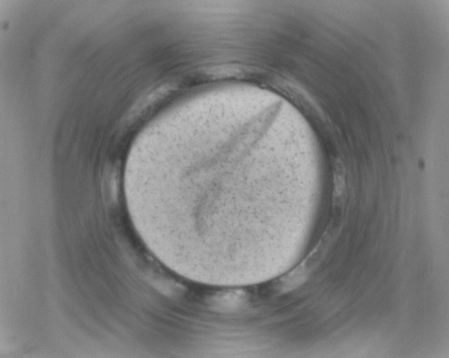 X0000078310124200611251543