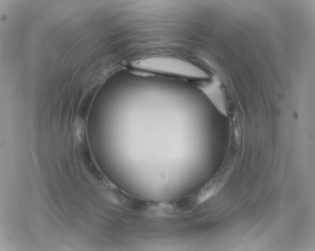 X0000078310125200611251543