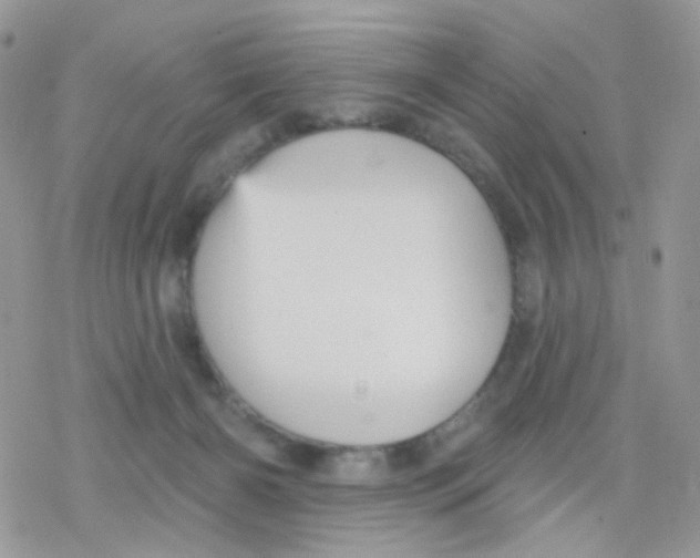 X0000078310126200611251543