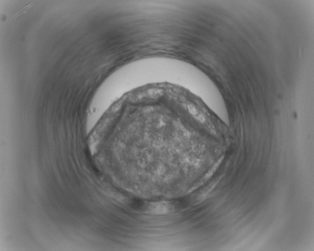 X0000078310127200611251543