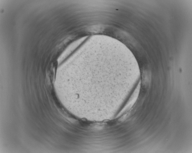 X0000078310128200611251543