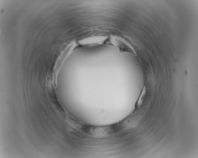 X0000078310129200611251543