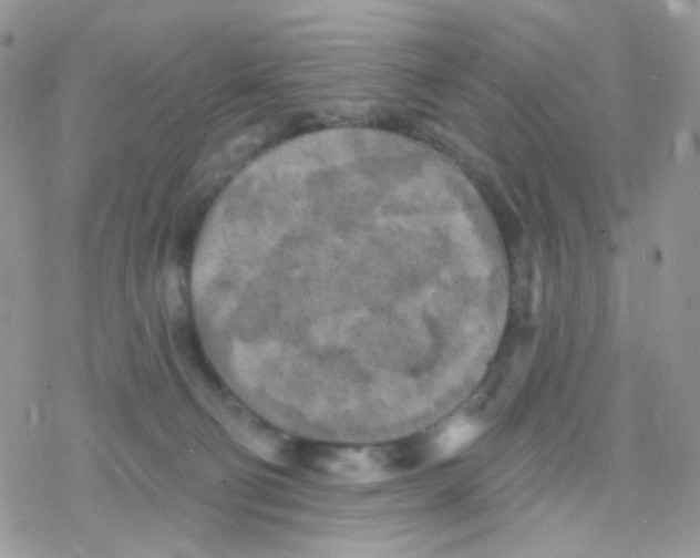 X0000078310130200611251543