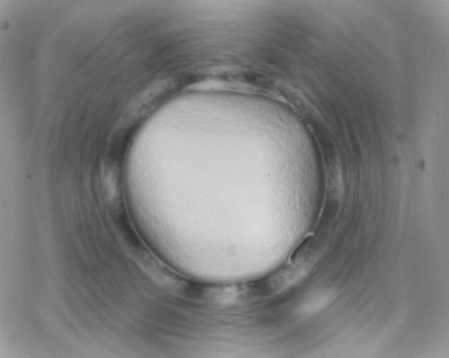 X0000078310131200611251543