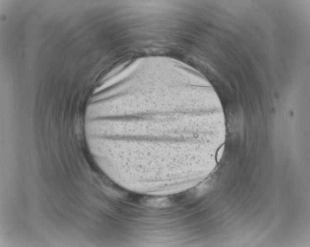 X0000078310132200611251543