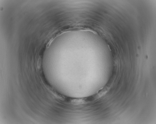 X0000078310133200611251543