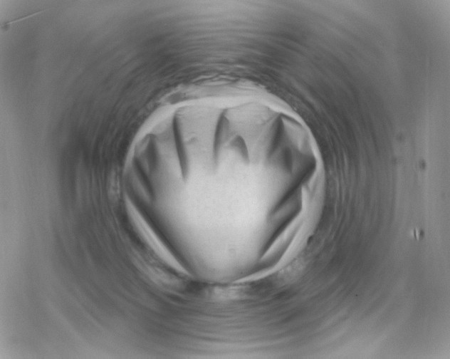 X0000078310134200611251543