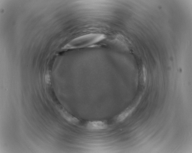 X0000078310137200611251543