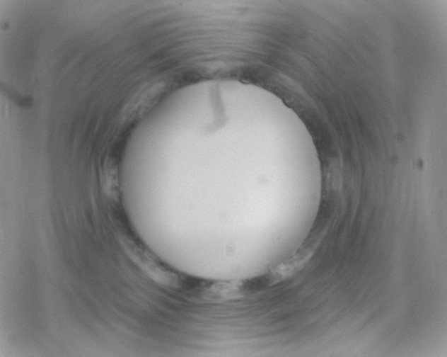 X0000078310138200611251543