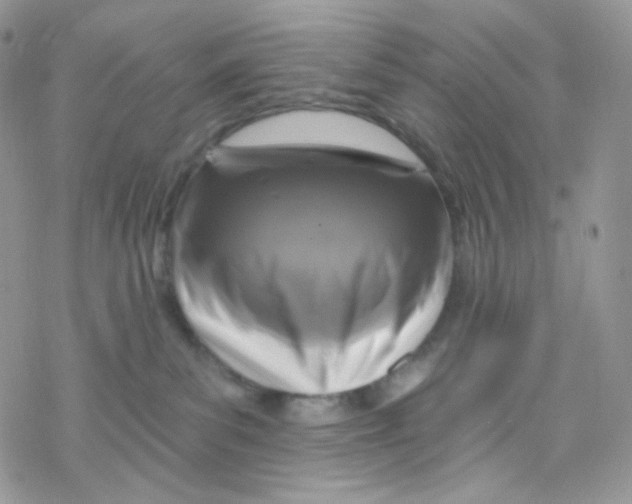 X0000078310139200611251543