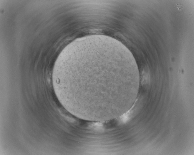 X0000078310140200611251543