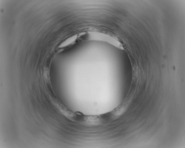 X0000078310141200611251543