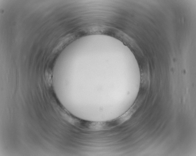 X0000078310142200611251543