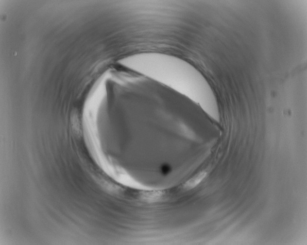 X0000078310143200611251543