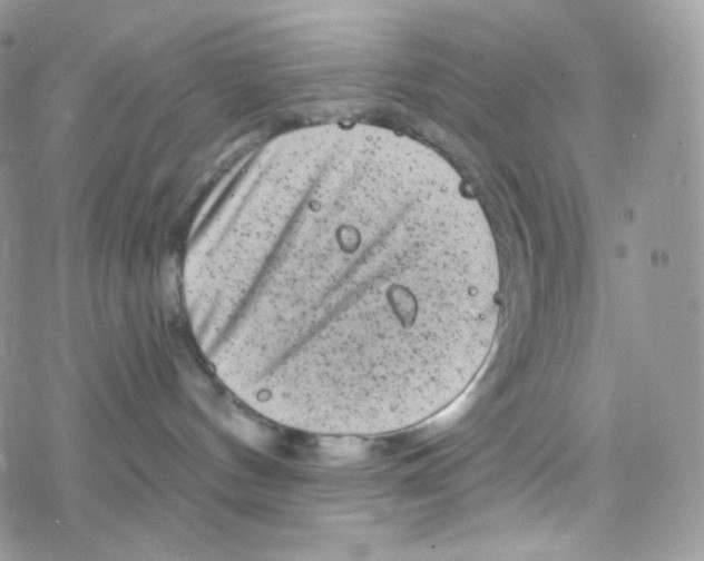 X0000078310144200611251543