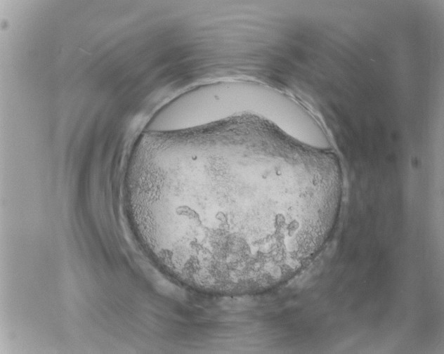 X0000078310145200611251542