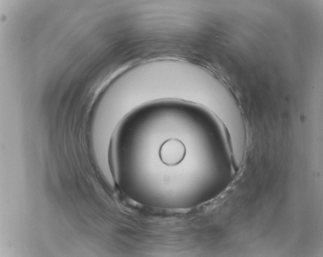 X0000078310146200611251542