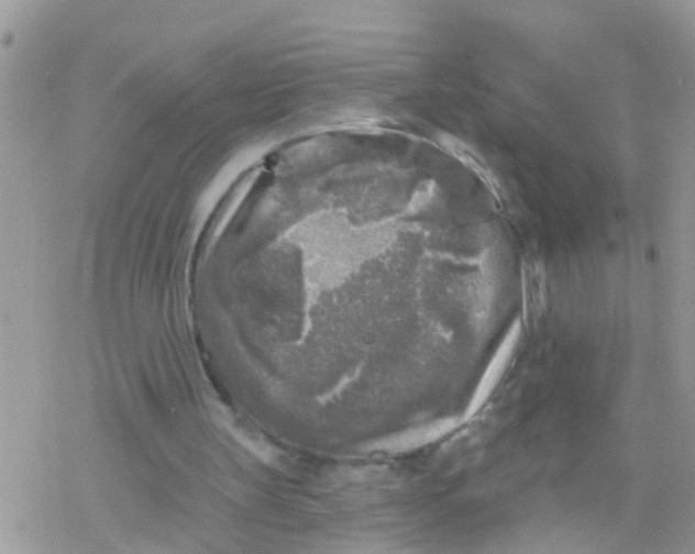 X0000078310147200611251542