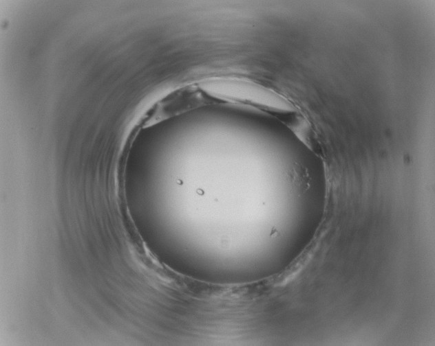 X0000078310148200611251542