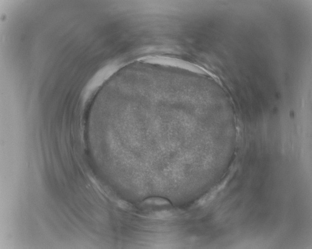 X0000078310149200611251542