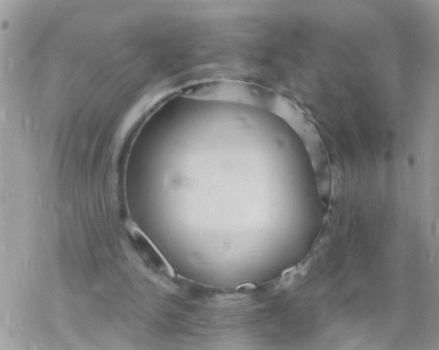 X0000078310150200611251542