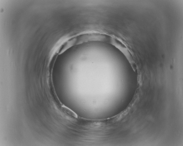 X0000078310152200611251542