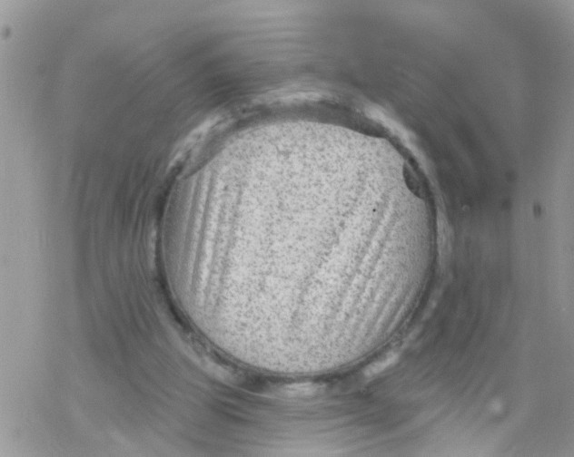 X0000078310153200611251542