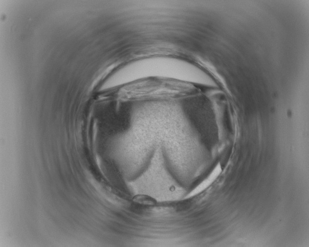 X0000078310154200611251542