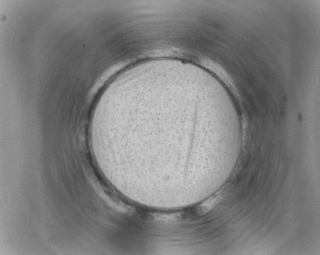 X0000078310155200611251542