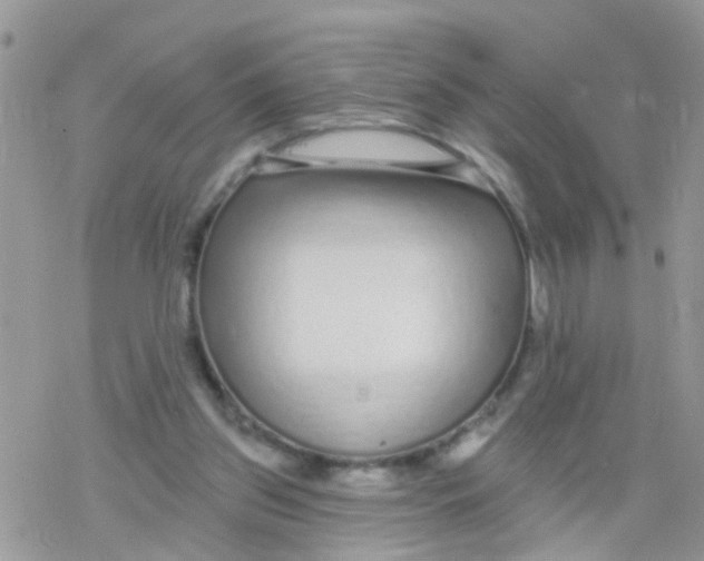 X0000078310157200611251542