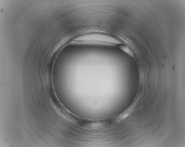 X0000078310158200611251542